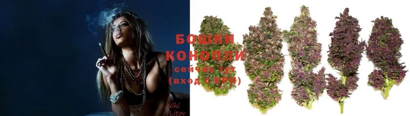 что такое наркотик  дарк нет какой сайт  Конопля THC 21%  Большой Камень 